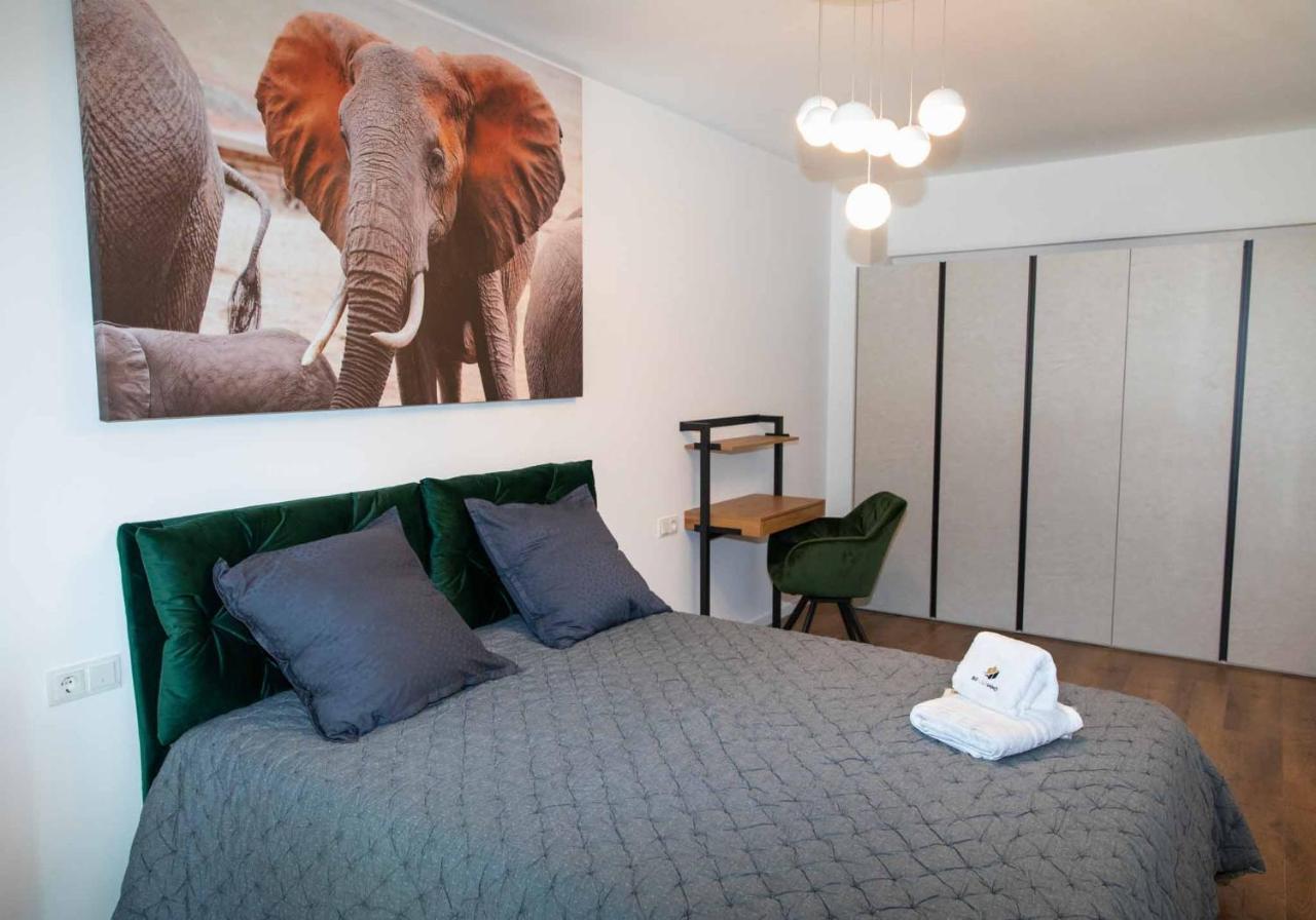 Bg Luximmo Apartments Cluj Napoca Bagian luar foto